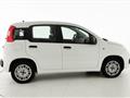 FIAT PANDA 1.2 EasyPower Easy - OK NEOPATENTATO