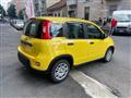 FIAT PANDA 1.0 FireFly S&S Hybrid Pandina ADAS