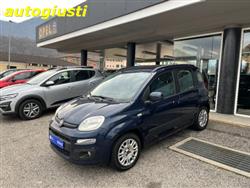 FIAT PANDA 1.2 Lounge 70CV   IDEALE PER NEOPATENTATI