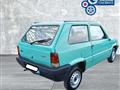 FIAT PANDA 1100 i.e. cat Young