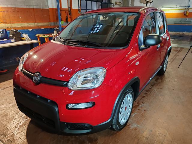 FIAT PANDA 1.0 Hybrid 70cv 36 Rate da 177,95