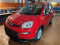 FIAT PANDA 1.0 Hybrid 70cv 36 Rate da 177,95