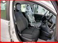 FIAT Panda 1.0 FireFly S&S Hybrid MY24 KM ZERO!!! IVATA NEOPATENTATI