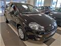 FIAT PUNTO 1.4 8V 5 porte Natural Power Easy