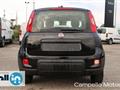 FIAT PANDA CROSS Panda 1.0 70cv Hybrid Panda