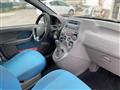 FIAT PANDA 1.2 Dynamic*/*X COMMERCIANTI*/*