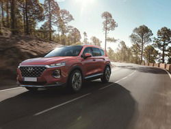 HYUNDAI SANTA FE 2.2 CRDi 4WD A/T 7 posti Excellence