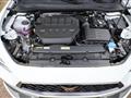 CUPRA LEON 2.0 TSI 300 CV DSG VZ Tetto Panorama