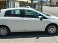 FIAT Punto 1.2 8V 5p. Street