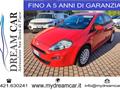 FIAT PUNTO 1.2 8V 5 porte Young NEOPATENTATI