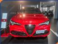 ALFA ROMEO STELVIO 2.2 Turbodiesel 210 CV AT8 Q4 Tributo Italiano