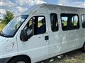 FIAT DUCATO Trasporto Disabili ducato maxi