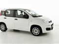 FIAT PANDA 1.2 EasyPower Easy - OK NEOPATENTATO