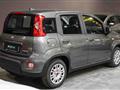 FIAT PANDA Hybrid 1.0 70cv