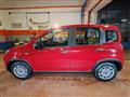 FIAT PANDA 1.0 Hybrid 70cv 36 Rate da 177,95