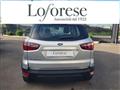 FORD ECOSPORT 1.0 EcoBoost 125 CV Start&Stop aut. Business