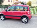 FIAT Panda FIAT - Panda 4x4 1.2 benzina - ok neopatentato ( concorso co