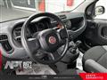 FIAT PANDA 1.0 firefly hybrid s&s 70cv 5p.ti