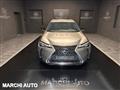 LEXUS UX Hybrid Executive