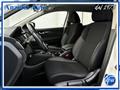 NISSAN QASHQAI 1.5 dCi 115 CV Business N1 Autocarro