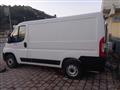 FIAT DUCATO 30 2.3 MJT 120CV PM-TN Furgone