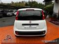 FIAT PANDA 1.2 Easy UNIPROPRIETARIO! PREZZO PROMO!