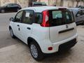 FIAT PANDA 1.0 FireFly S&S Hybrid Pandina-km0