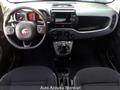 FIAT PANDA CROSS Panda Cross 1.0 FireFly S&S Hybrid